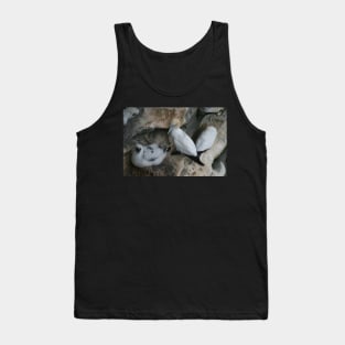 Solan geese Tank Top